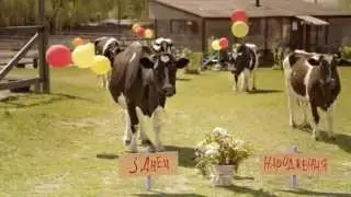 Happy Birthday Moo