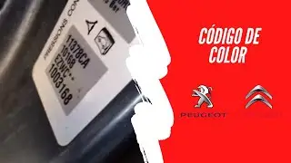 🔎 &iquest;D&oacute;nde encontrar el c&oacute;digo de color de un CITROEN MODERNO❓ 🔥