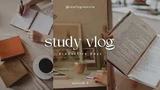 Vlog 3 of my daily vlogs | study vlog | vulture vlogs | 