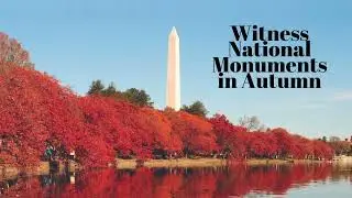 Autumn in Washington, DC