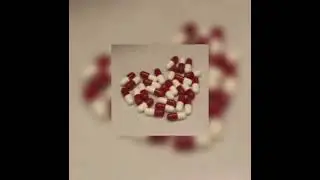 𝙵𝚘𝚘𝚍 𝚑𝚘𝚞𝚜𝚎 - 𝟾 𝚗𝚘𝚠 (𝚜𝚙𝚎𝚍 𝚞𝚙)