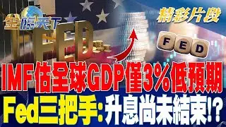 IMF估全球GDP僅3%低預期 Fed三把手：升息尚未結束！？ |  金臨天下 20230712 @tvbsmoney