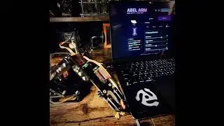 Abel Arm & SnapLock Sim