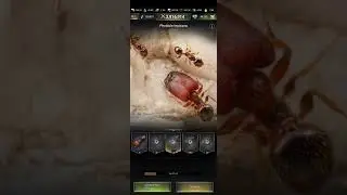 The ants underground Kingdom tips and tricks attributes upgrade 