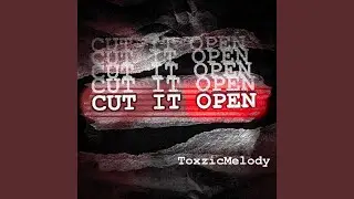 CUT IT OPEN (INSTRUMENTAL)