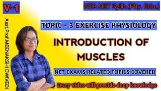 (V-1) INTRODUCTION OF MUSCLES AND THEIR FUNCTIONS | TYPES OF CONTRACTION | EFFERENT AND MOTOR NERVES