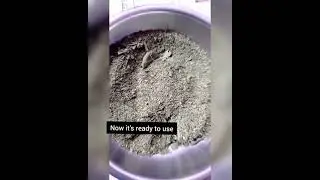 How to make Neem cake/Neem khali at home. #the_girl_gardener #ytshorts #yt #shorts #fertilizer
