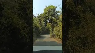 #road trip+song=#sukoon❤️ll#travel video