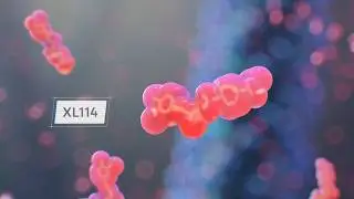 3D Medical Animation: Cancer Small Molecule MO