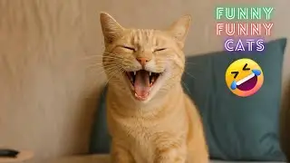 Funny Cat Fails 😂 | The Most Unexpected and Cute Cat Moments 2025