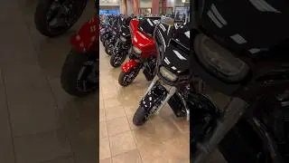 The Journey Begins! #harleydavidson #sales #bikes #foryou #fyp  #30daysuperfans @patflynn