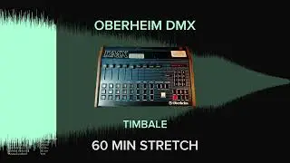 Oberheim DMX Timbale (1 HOUR)