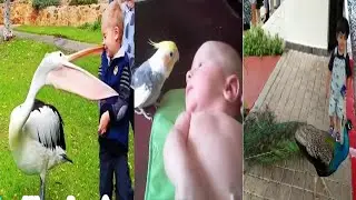 Try Not to Laugh Challenge, Funny Baby Epic Fails Compilation October 01, 2020, Funny Vines Part 27