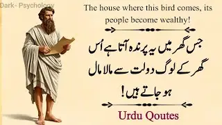 The Secret Bird of Wealth | Why Pigeons Bring Prosperity to Homes | Motivational 