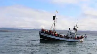 Leben lieber wild! - BOAT (HD) - ab 06.11. im Kino - Kom&ouml;die (2014)