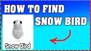 How To Find SNOW BIRD in FIND THE BIRDS ROBLOX 🦜 [walkthrough]