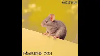 варгаш  - Мышкин сон