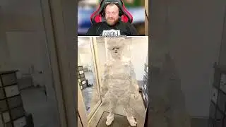 Петренто прикол #петренто #приколы #прикол #petrento #мем #мемы #memes #funny