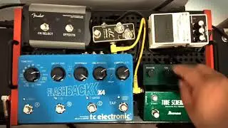 Test tubescreamer ts808dx