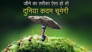 Ant Philosophy - Best Motivational video in hindi inspirational speech by mann ki aawaz motivation