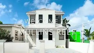 Mullins Reef