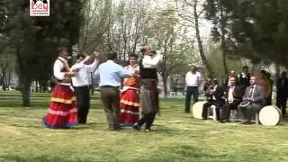 Çek Deveci Develeri  - Kemaneci Rıfat