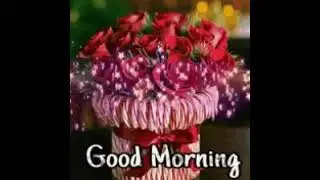 Cute gif