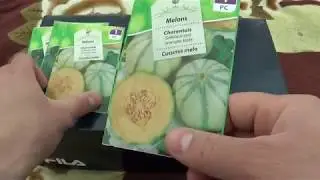 Seminte de legume diverse tipuri producator diferit