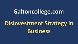 Disinvestment Strategy in Business