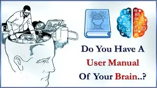 Explore your Inborn Talents and skills with Genetic Brain Profiling.