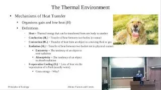 Adaptations to the Thermal Environment: Part I