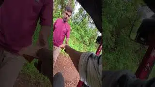 Tuk Tuk Ride Day 5 🛺 | Road Vibes