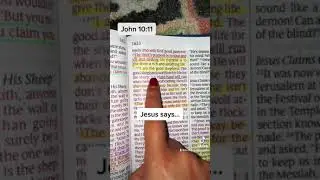John 10:11