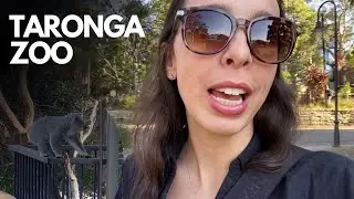 Você PRECISA visitar esse zoológico em SYDNEY! | Taronga Zoo