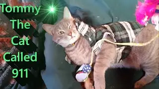 Tommy The Cat Called 911