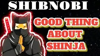 SHINJA/SHIBNOBI AMA MEETING WITH CEO CLIFF FETTNER 11/16/2022.