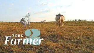 Fork to Farmer Cleveland County, NC- agritourism