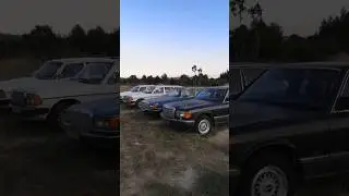 😂 My Mercedes-Benz W123 lay eggs