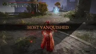 Dual Reaper pvp build