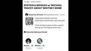 Whitney Webb admits 
