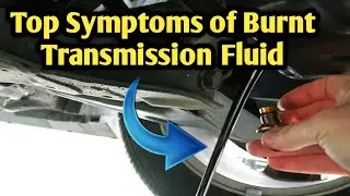 Top Symptoms of Bad or Burnt Transmission Fluid ||