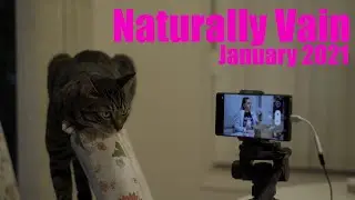 Naturally Vain January 2021 Is It Time For Something New?