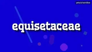 EQUISETACEAE - HOW TO PRONOUNCE IT!?