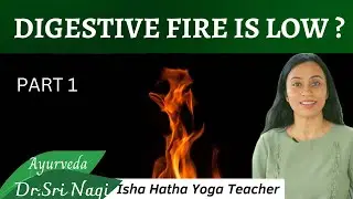 Why Digestive Fire Becomes Low? 🥰🤗 Diseases associated with this 🤔