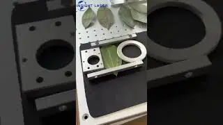 UV laser marking on leaf