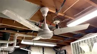 FINALLY!!! The Crompton Greaves Encon Model 1050 Ceiling Fans