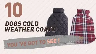 Top 10 Dogs Cold Weather Coats Products // Pets Lover Channel