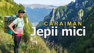 Flori de colt si capre negre pe traseul Jepii Mici din Muntii Bucegi