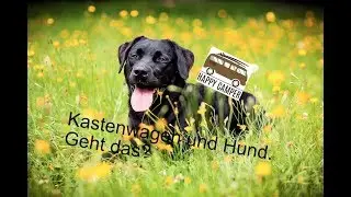 Kastenwagen & Hund. Geht sowas? (Folge 31)