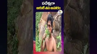 పదేళ్లుగా ఆకులే తన ఆహారం